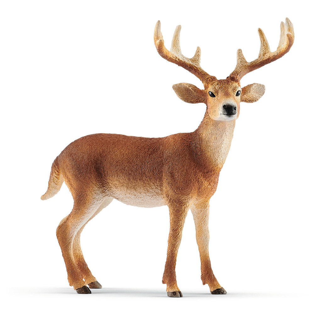 Scleich 14818 White Tailed Buck Toys Hobbies