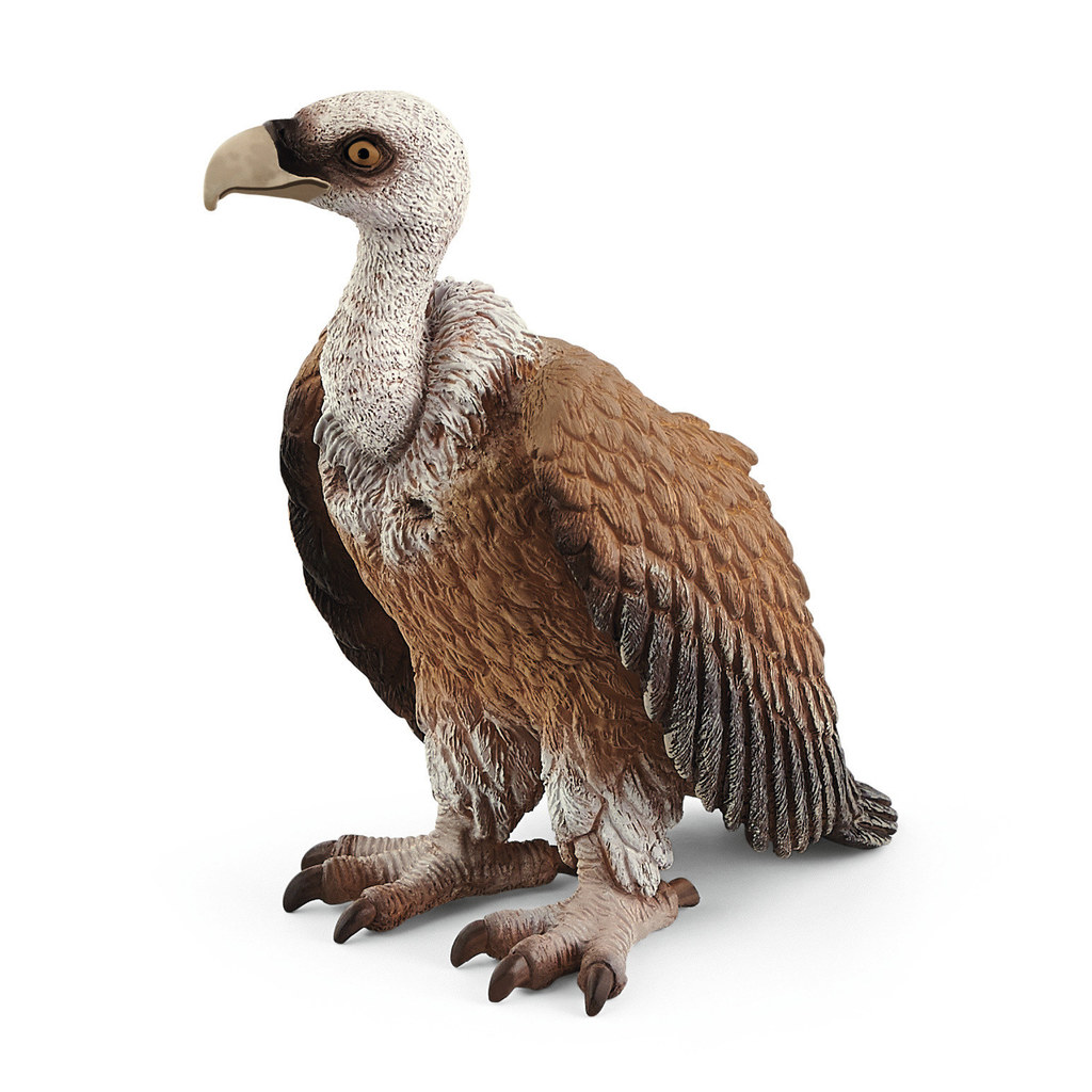 Schleich Vulture 14847 Toys Hobbies