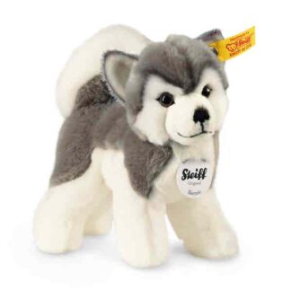 Steiff Bernie Husky 104985