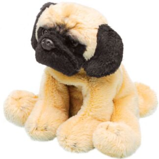 Suki Small Dogs Sitting - Pug