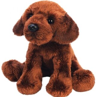 Suki Dogs - Chocolate Labrador sitting