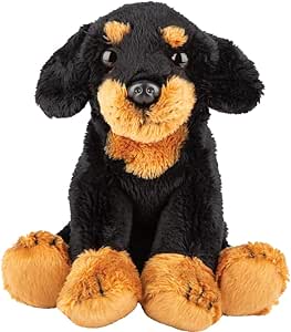 Suki Dogs - Dachshund Black & Brown, Sitting