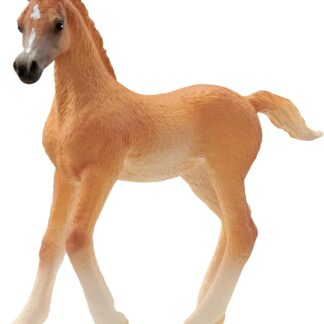 Schleich Horse Club Arabian Foal 13984