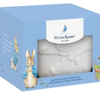 Peter Rabbit - Paint Your Own Plant Pot