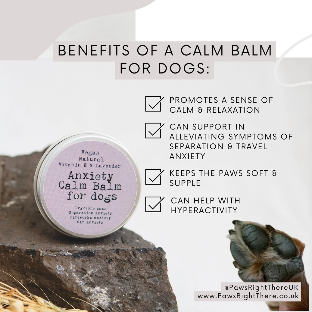 Calming Paw Balm for Dogs - Image 2